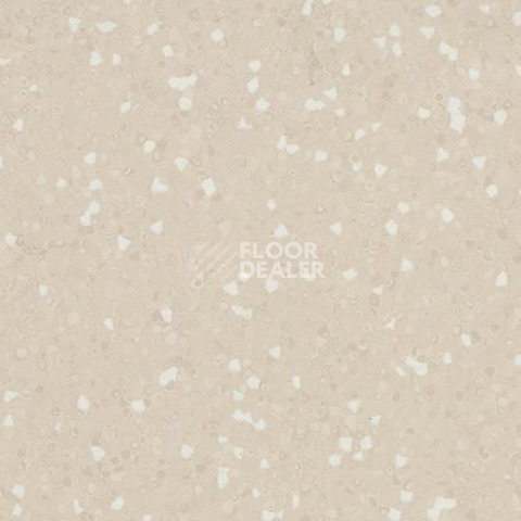 Линолеум Forbo Sphera Sd 550023 sand фото 1 | FLOORDEALER